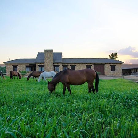 Casa Ecuestre Carmen Martinez Bed and Breakfast Fuente Palmera Εξωτερικό φωτογραφία