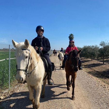 Casa Ecuestre Carmen Martinez Bed and Breakfast Fuente Palmera Εξωτερικό φωτογραφία