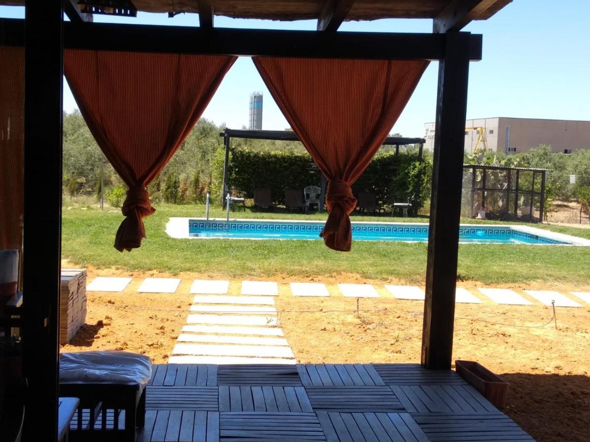 Casa Ecuestre Carmen Martinez Bed and Breakfast Fuente Palmera Εξωτερικό φωτογραφία