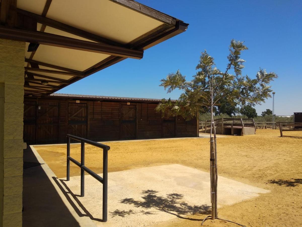 Casa Ecuestre Carmen Martinez Bed and Breakfast Fuente Palmera Εξωτερικό φωτογραφία