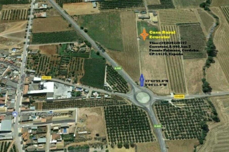 Casa Ecuestre Carmen Martinez Bed and Breakfast Fuente Palmera Εξωτερικό φωτογραφία