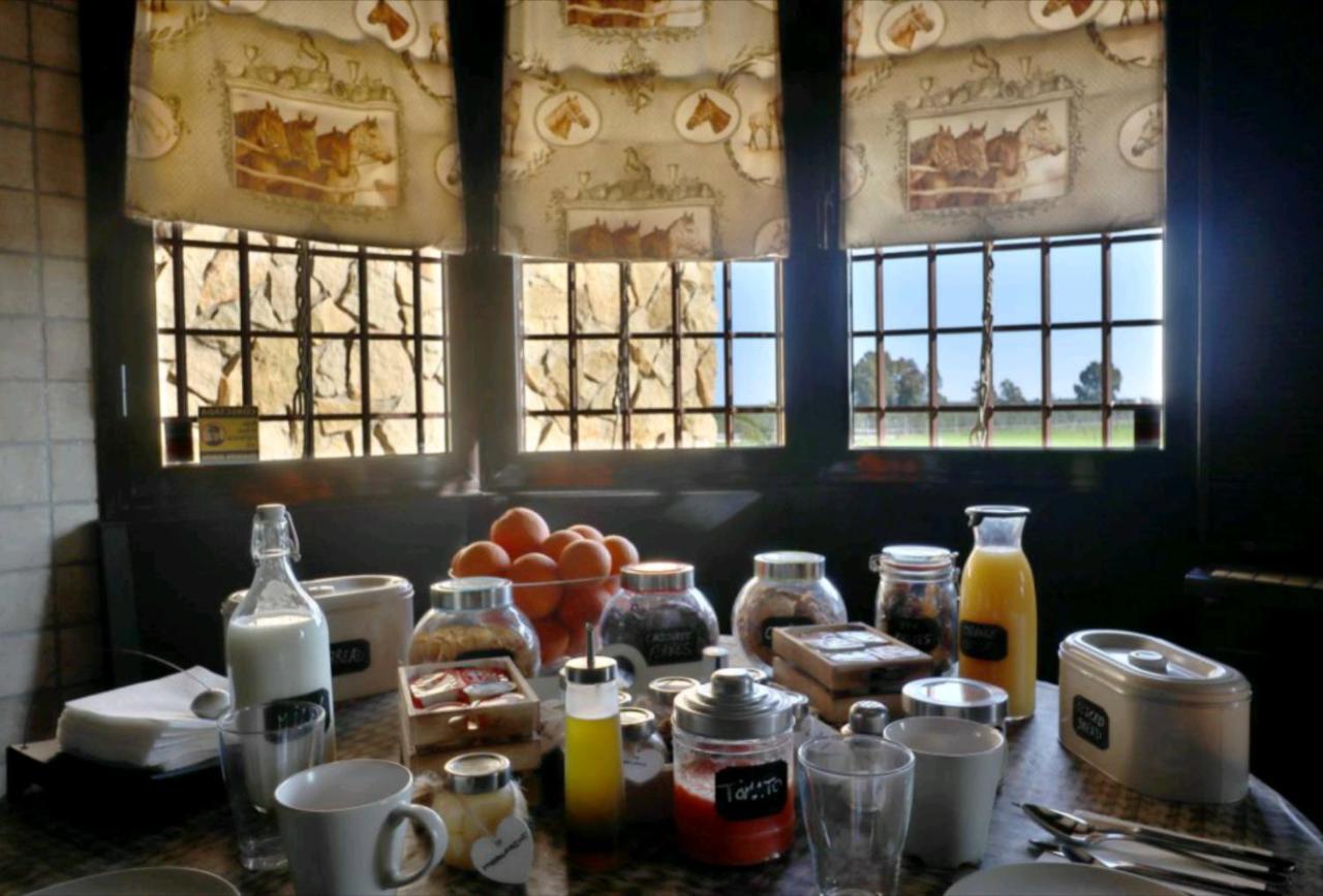 Casa Ecuestre Carmen Martinez Bed and Breakfast Fuente Palmera Εξωτερικό φωτογραφία
